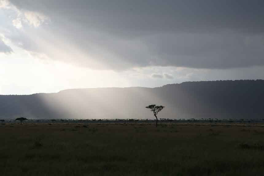 A Ray of Sunshine in Masai Mara (mono)